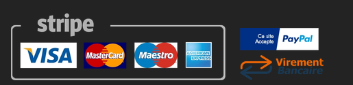 Paiements acceptés : Stripe, Visa, Mastercard, Maestro, American Express, PayPal et virement bancaire